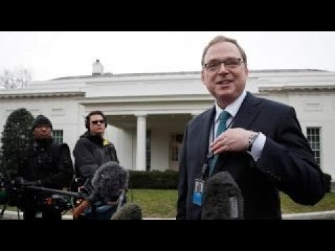 White House Council of Economic Advisers Chairman Kevin Hassett on the fallout from the partial government shutdown.
