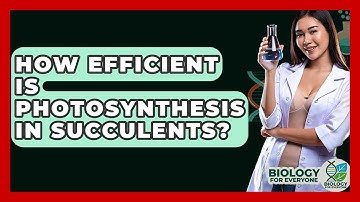 How Efficient Is Photosynthesis In Succulents? - Biology For Everyone