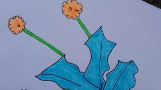 dandelion drawing draw simple yellow