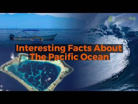 Video: Pacific Ocean: A Few Basic Facts