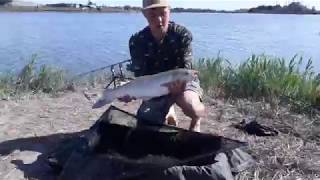 пруд Черноморец 26.08.19г карпфишинг-4.