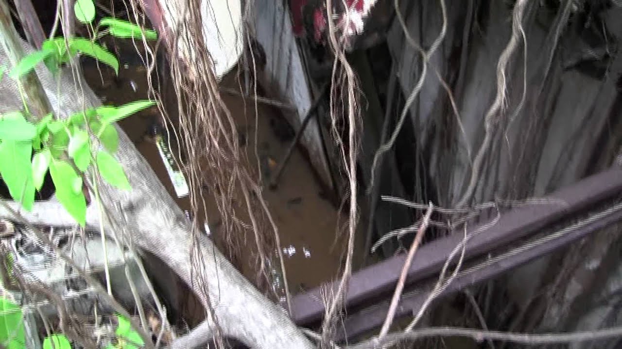 SRC HARP Barbados YouTube