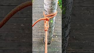 🔥Tension Knot for Camping | Strong Rope Tension System #knot