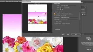 Tips To Print Actual Colors In Adobe Photoshop Printing screenshot 3