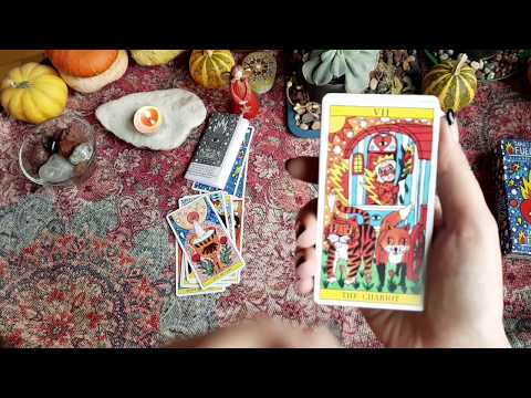 დასტის მიმოხილვა - Tarot Del Fuego