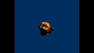 Blender Monkey Head Hair Test