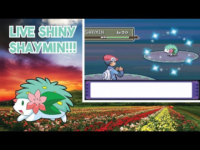 Pokemon shiny Shaymin 12