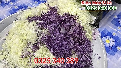 Máy thái salad bắp cải, thái sợi bắp cải, máy cắt bắp cải trắng- tím, máy bào cải bắp, bắp sú