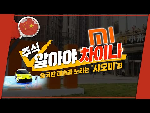 [투자직감] 알아야 차이나, 중국판 테슬라 노리는 샤오미