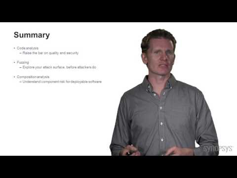 Bug Elimination: Summary | Synopsys