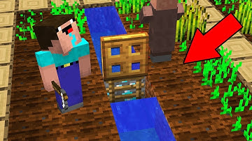 Minecraft NOOB vs PRO : WHAT VILLAGER HIDE IN THIS SECRET ENTRANCE IN FARMLAND? (Animation)