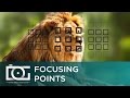 CANON 80D EOS DSLR Camera  | Focusing Points TUTORIAL