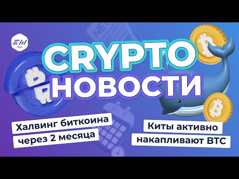 Что произойдет с биткоином после халвинга. MicroStrategy владеет 190 000 BTC | Криптоновости EXMO.me