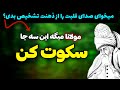 قدرت سکوت از نگاه مولانا اگر میخوای خدا برات کار کنه این ۳ جا حتما سکوت کن قدرت سکوت از نگاه مولانا اگر میخوای خدا برات کار کنه این ۳ جا حتما سکوت کن