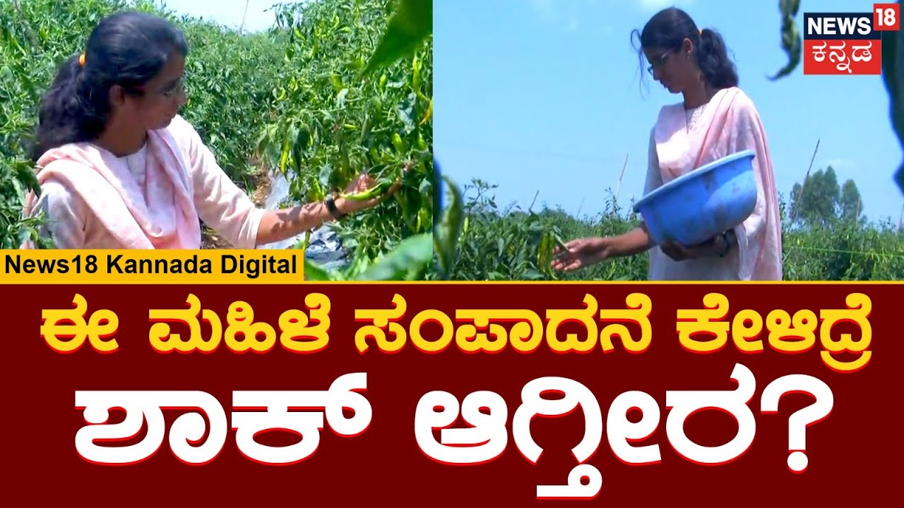 Chilli Farming | 30 ಗುಂಟೆಯಲ್ಲಿ ಮೆಣಸಿನಕಾಯಿ ಬೆಳೆದು, 6 ತಿಂಗಳಲ್ಲಿ 8 ಲಕ್ಷ ಗಳಿಕೆ | News18 Kannada
