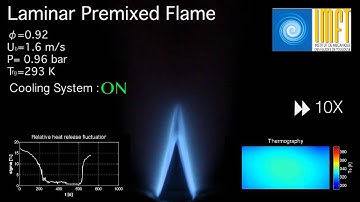 Wall-temperature effect on flame acoustic oscillations.
