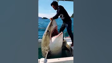 POV: A shark attacks a man who was recording a shark cage #pov #shark #attack #ocean #ytshortsvideo