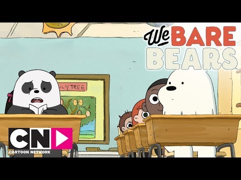 I Baby Orsi vanno a scuola | We Bare Bears | Cartoon Network Italia