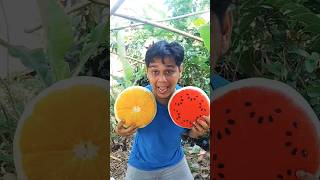 suara kambing #shorts #trending #viral #subscribe