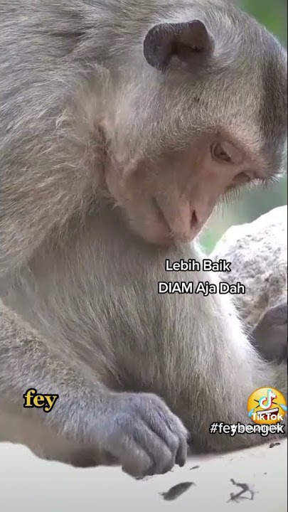 Sedih Dah Kalau di Cerita in Mah