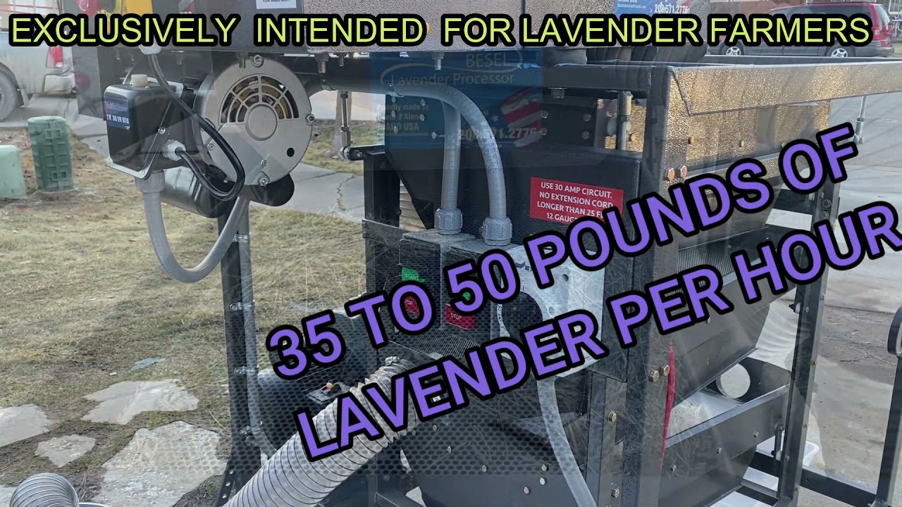 de-budding  LAVENDER  machine