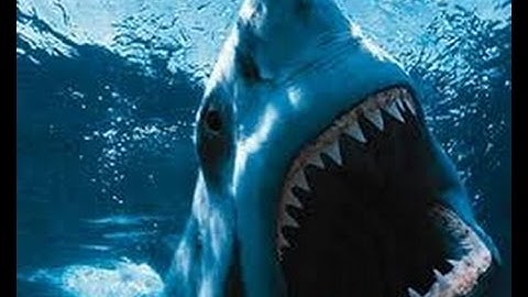 ARK Survival Evolved - Shark Taming.