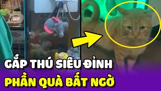 Chàng trai GẮP THÚ BÔNG siêu đỉnh nhưng lấy QUÀ thì nó LẠ LẮM 😂 | Yêu Lu Official