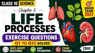 Life Processes Exercise Questions | Class 10 Science Chapter 5 | NCERT Solutions Q1-Q13