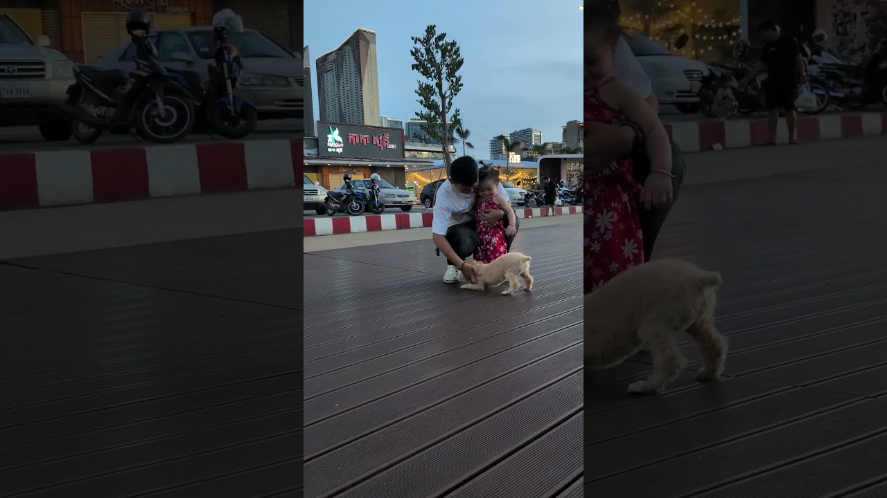 Adorable Dog Tries to Get Kid’s Attention for Playtime 🐾 