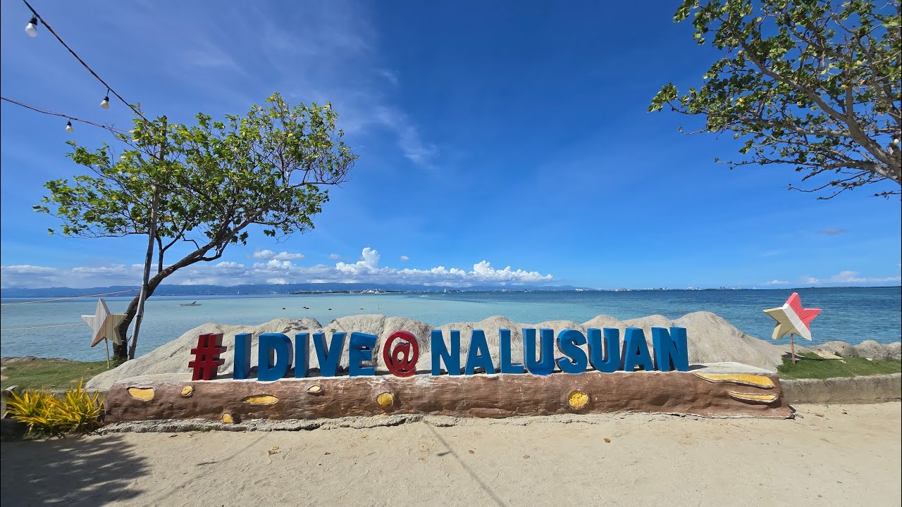 2025.12 크리스마스 스쿠버다이빙2(필리핀 세부)