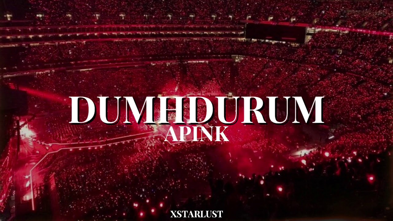 dumhdurum by apink but you’re at a concert