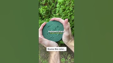 The Science of Multitasking: How Our Brain Juggles Multiple Tasks #Multitasking #BrainScience