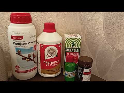 Очень важно соблюдать правильный температурный режим хранения препаратов.15.09.2022