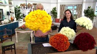 Faux Mum Urn Filler by Valerie on QVC