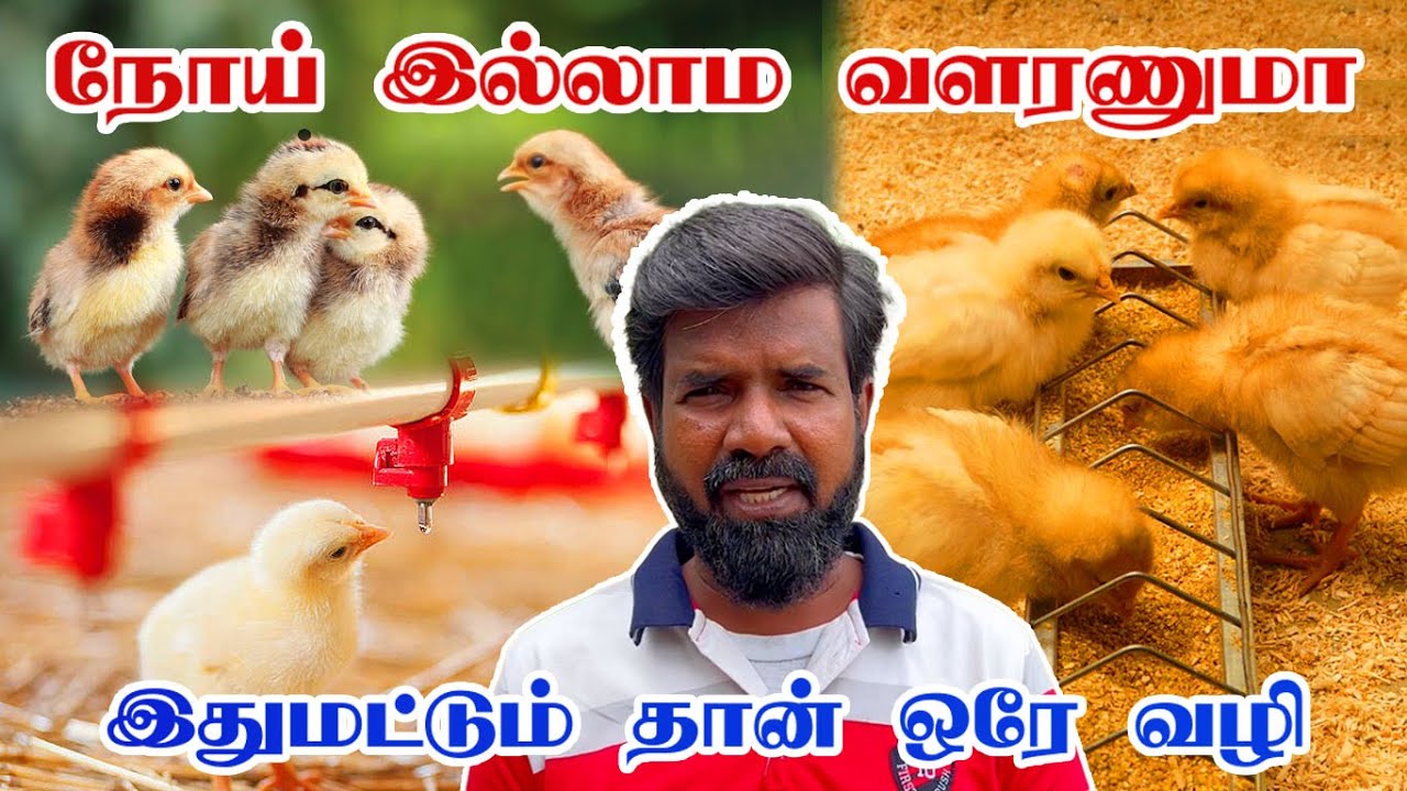 நோய்  இல்லாம வளரணுமா ? | இதுமட்டும் தான் ஒரே வழி  | TAMIL | GUNA NATTUKOZHI PANNAI | 10.11.2023