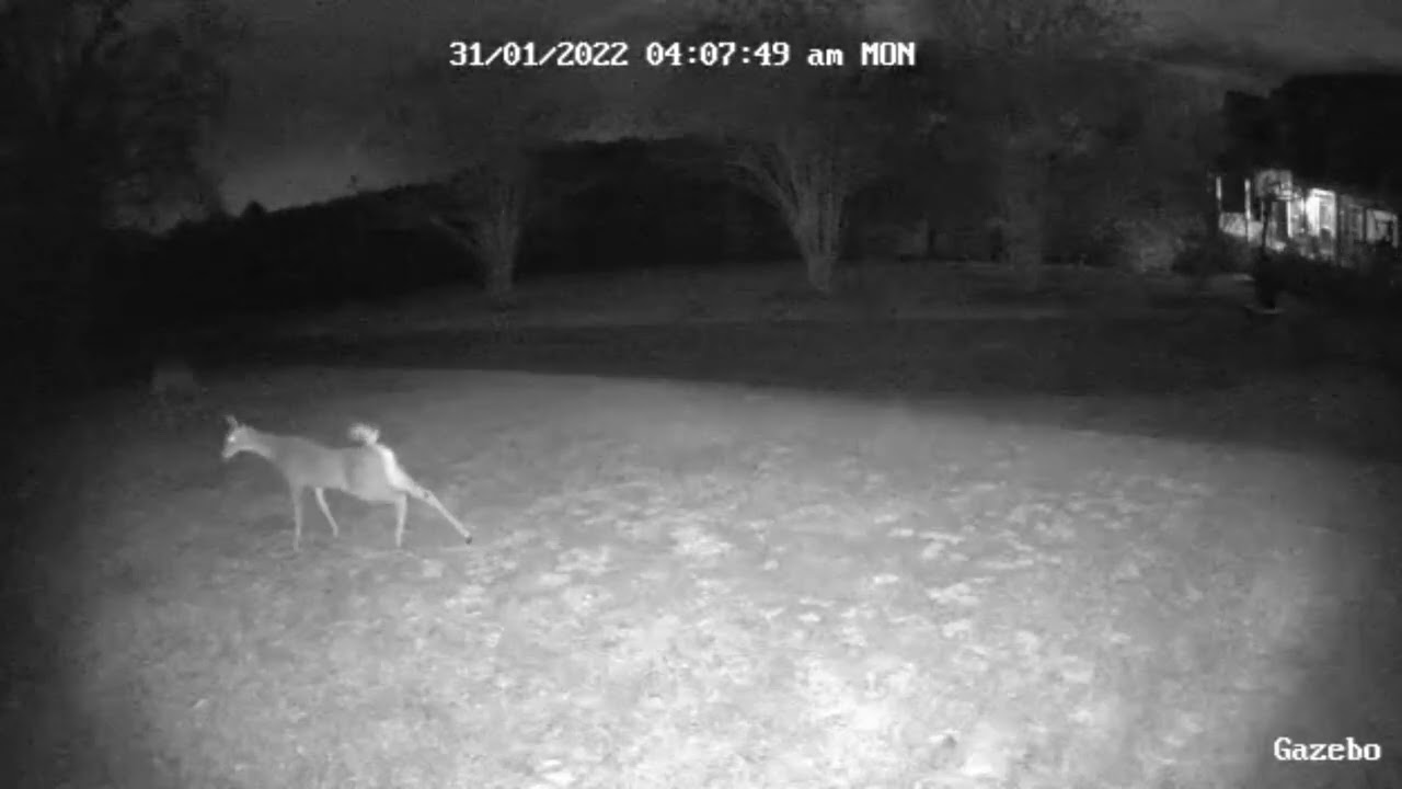 Meet My Girlfriend… Jane Deer Fonda