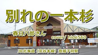 別れの一本杉　春日八郎　hide560　395　音威子府駅カラオケ　音威子府村カラオケ