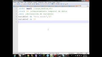 Estructura de un Programa en Lenguaje Ensamblador