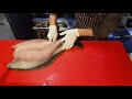 대광어 6kg (ヒラメ　捌きの方) 숙성회 손질영상 How to SASHIMI
