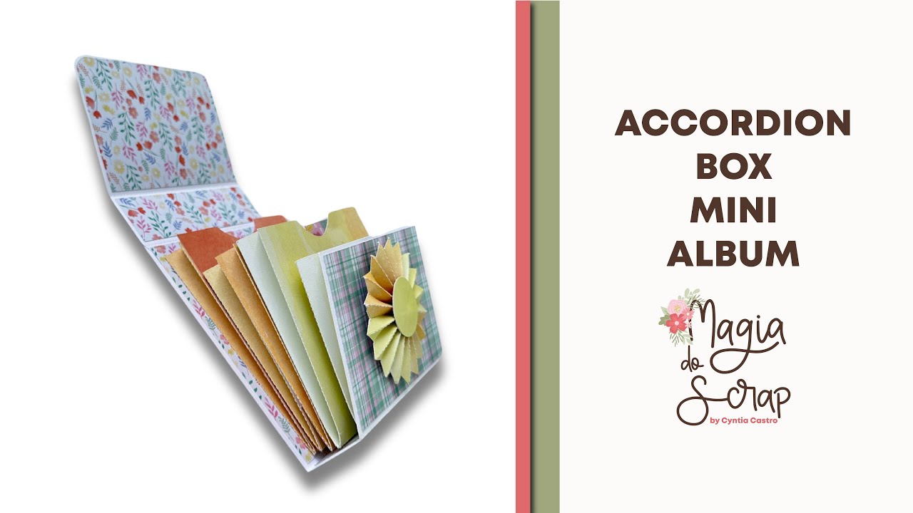 Accordion Box Mini album