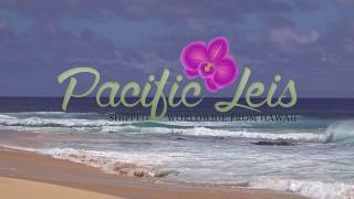 Pacific Leis