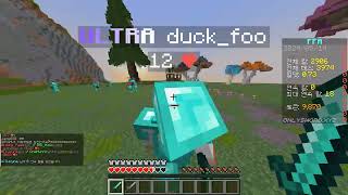 Wpdbr Vs Duckfoo