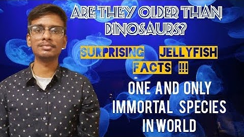 Facts about the Immortal Jellyfish | Tamil | Quotes and Facts Factory |(Top 10)