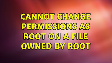 Cannot change permissions as root on a file owned by root
