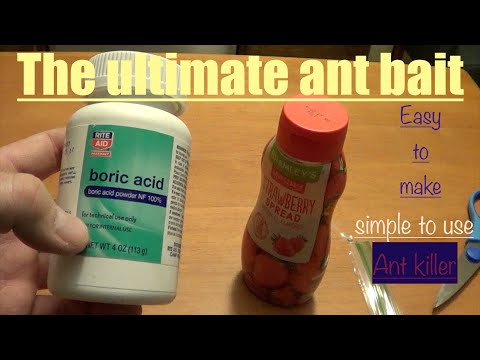 Video: Boric Acid From Ants In An Apartment: Recipes For Poison, Baits, Mixtures And Balls With Its Addition + Photos, Videos And Reviews