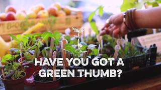 Have you got a green thumb? Have you got a green thumb?