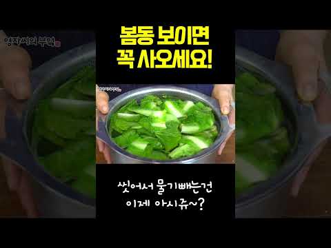 5분만에 만드는 밑반찬, 봄에는 역시 봄동~ #shorts