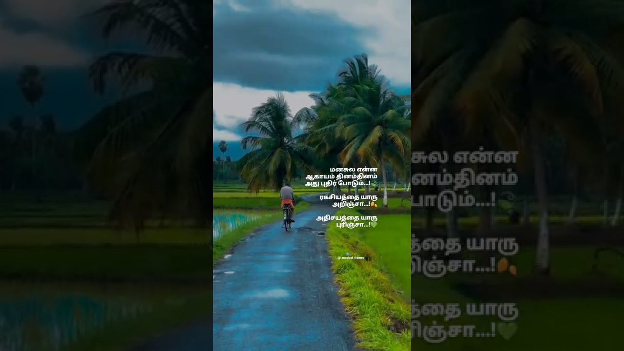 Elangaathu Veesudhey Solo Song Lyrics | WhatsApp Status Tamil | Tamil Lyrics Song | 
