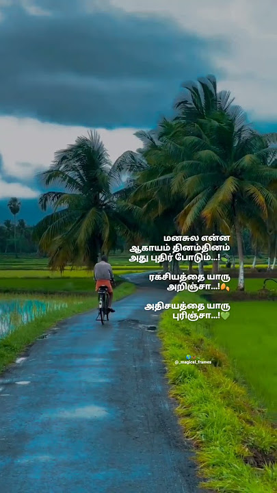 Elangaathu Veesudhey Solo Song Lyrics | WhatsApp Status Tamil | Tamil Lyrics Song | @Dreamzone43
