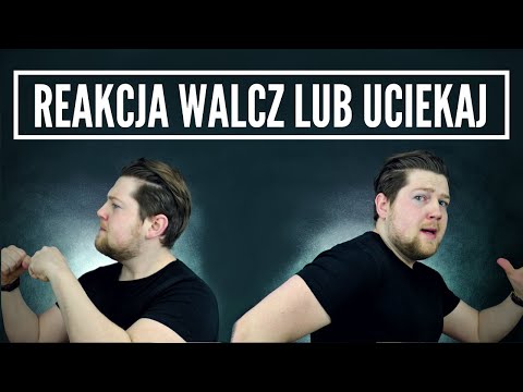 Wideo: 10 najpopularniejszych artykułów o męskiej kondycji w 2014 roku